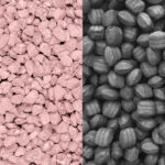 Chronos Design Engineering Compaction ≠ Agglomeration. Know the difference